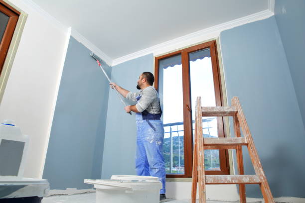 Best Drywall Finishing  in Belle, WV